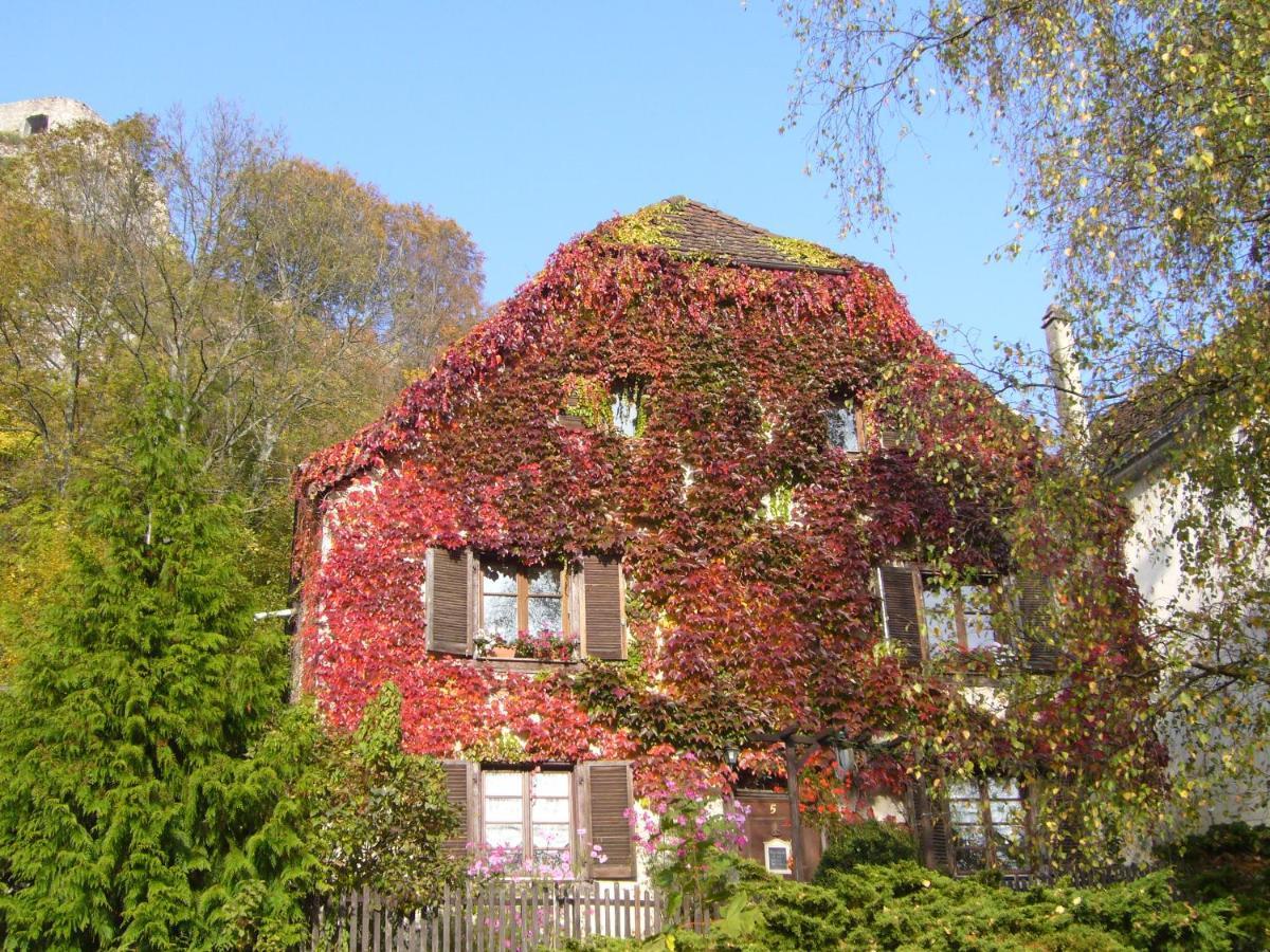 B&B De Charme La Maison Des 5 Temps Ferrette Exteriör bild