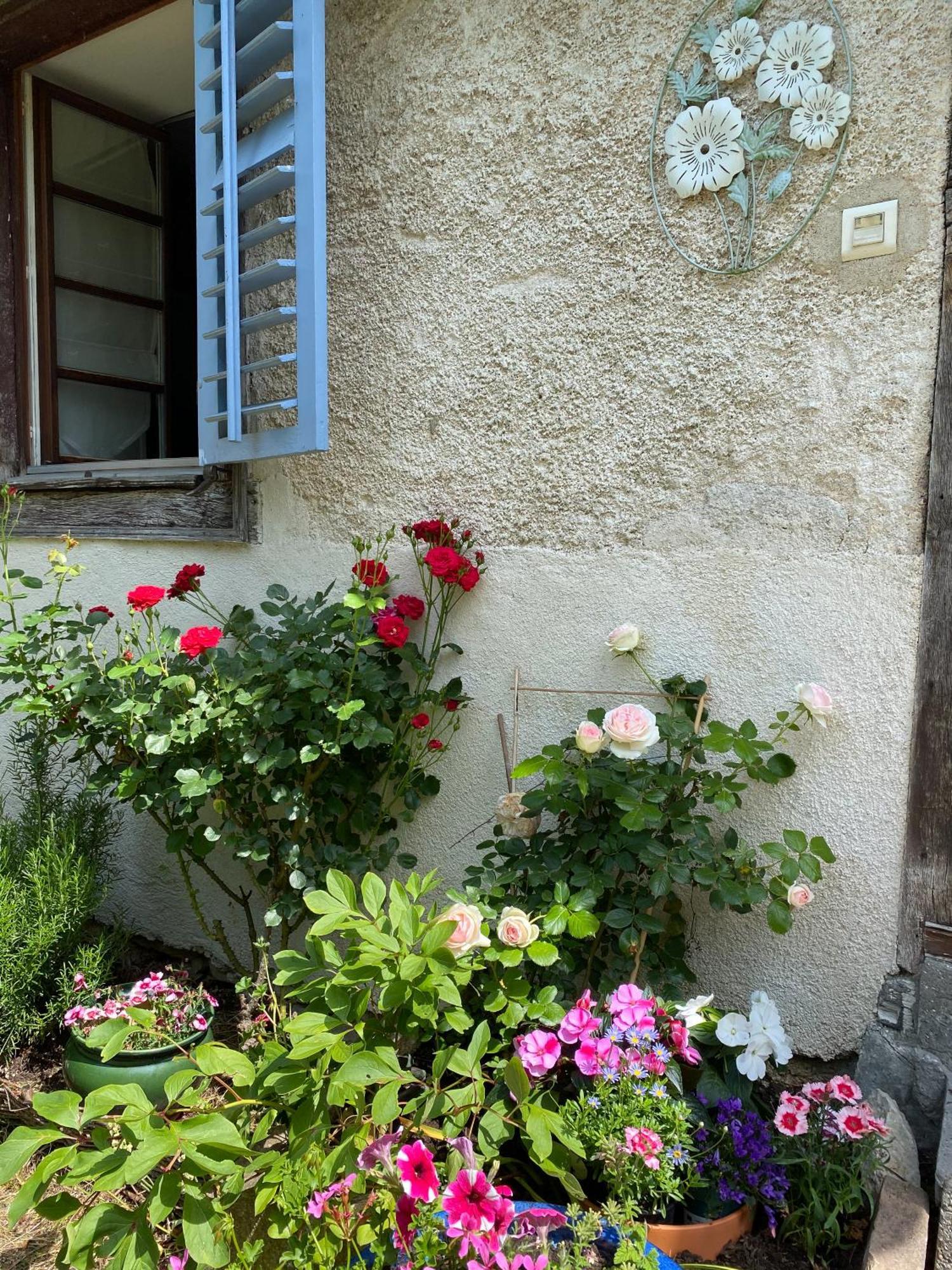 B&B De Charme La Maison Des 5 Temps Ferrette Rum bild